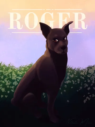 Deixar aqui meu portfólio 